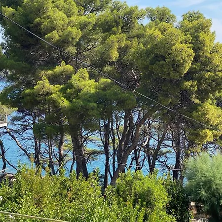 Dvije Palme Jelsa (Hvar)