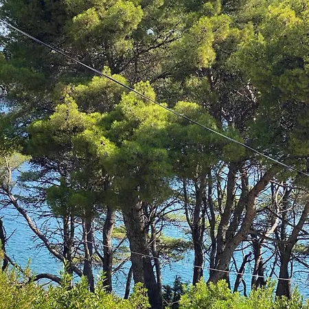 Dvije Palme Apartamento Jelsa (Hvar)